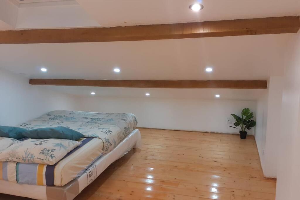 Appartement La Joie Dans Quartier Chic Pibrac Экстерьер фото