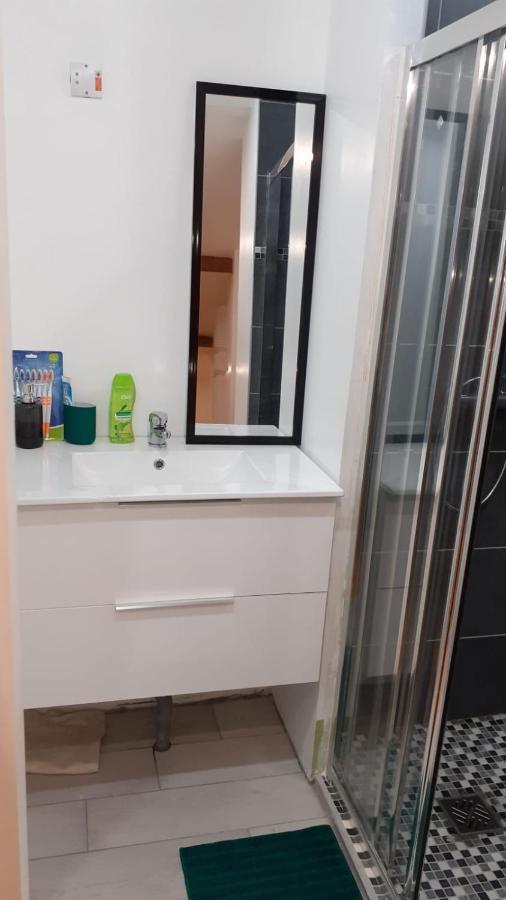 Appartement La Joie Dans Quartier Chic Pibrac Экстерьер фото