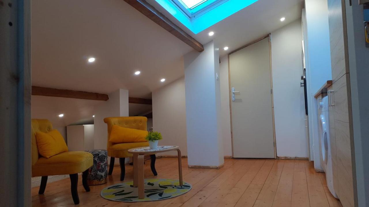 Appartement La Joie Dans Quartier Chic Pibrac Экстерьер фото